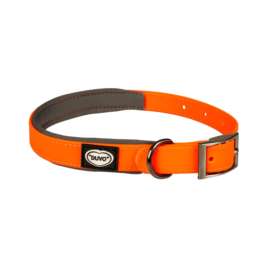 EXPLOR South collar PVC