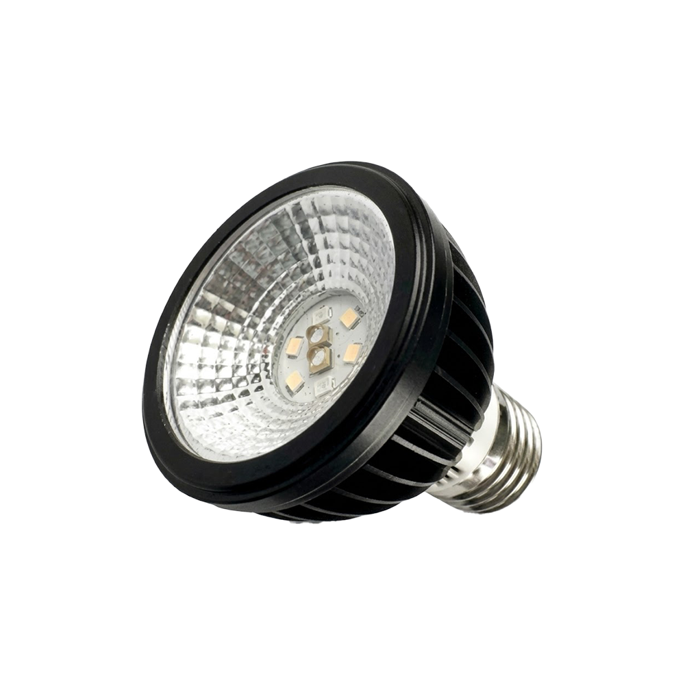 مصباح LED للأشعة فوق البنفسجية فئة B