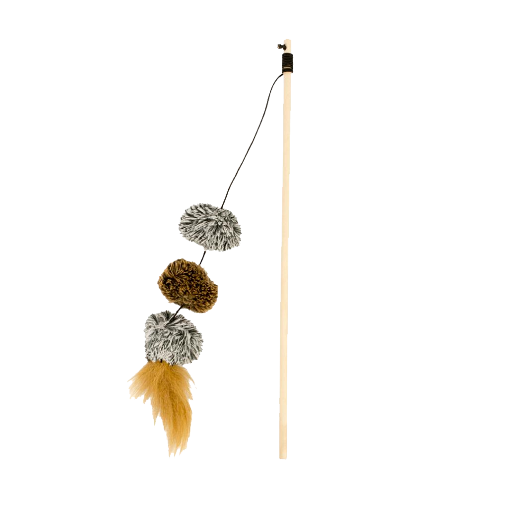 Playing Rod Pompom