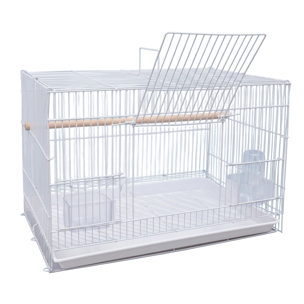 Birds Cage