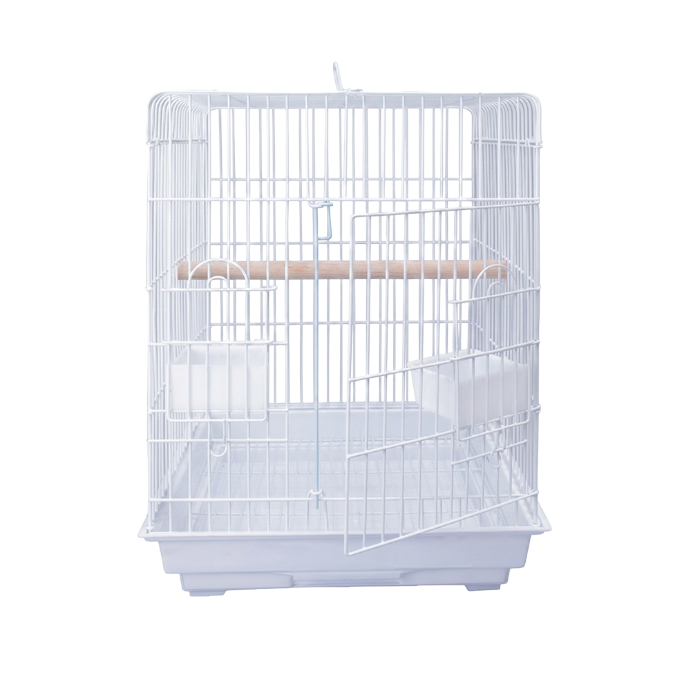 Birds Cage