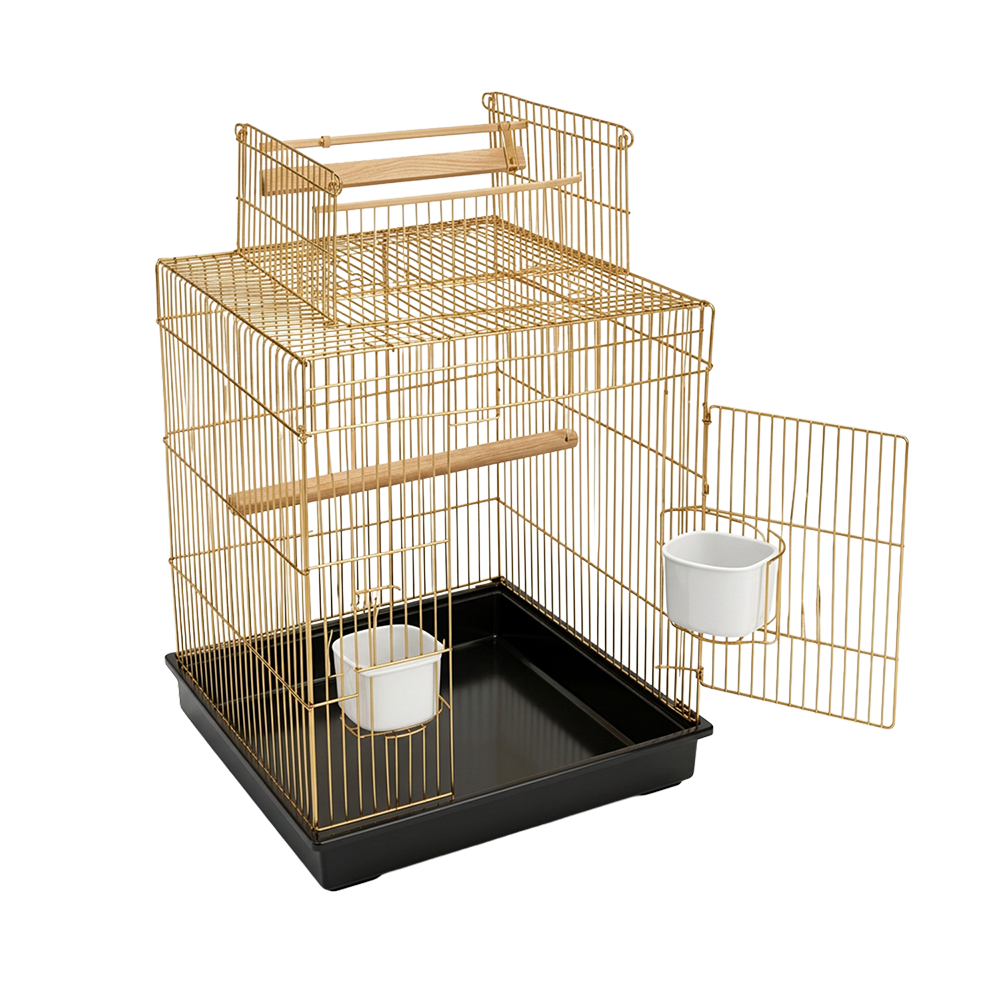 Birds Cage