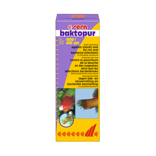 sera baktopur