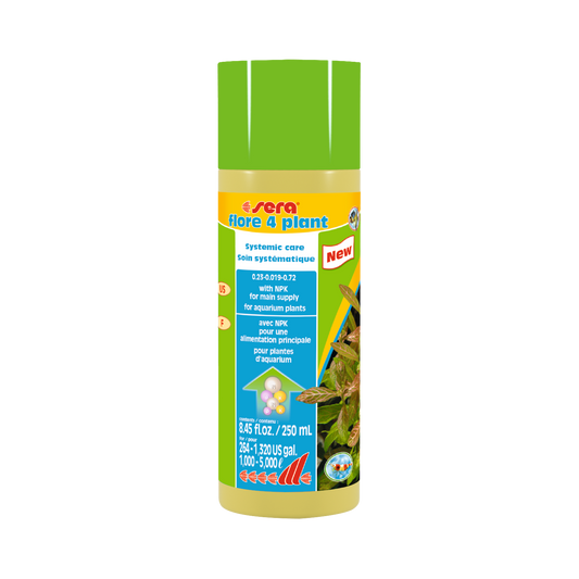 sera flore 4 plant