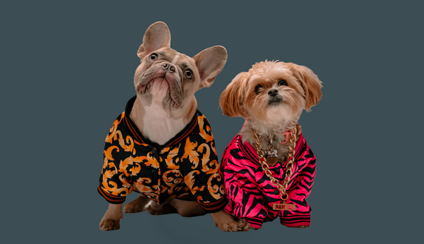 Clothing & Accessories