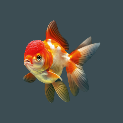 Goldfish food pond