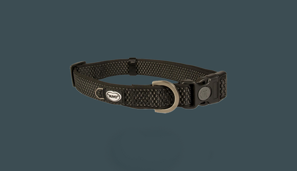 Leashes, Collars & Harnesses