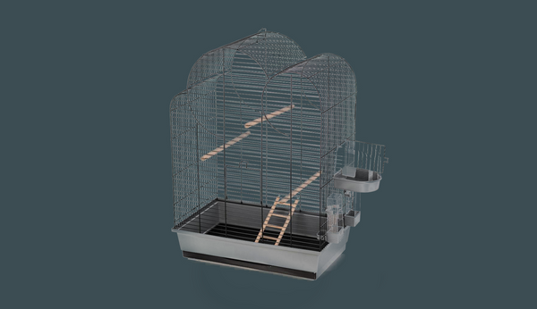 Parakeet Cages