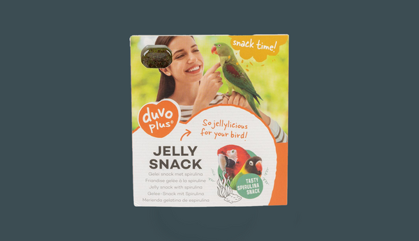 Cockatiel Treats