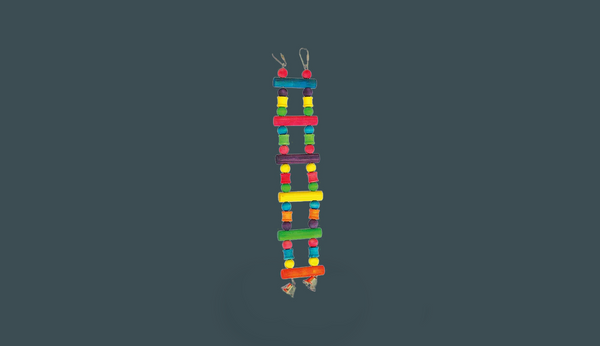 Parrot Toys