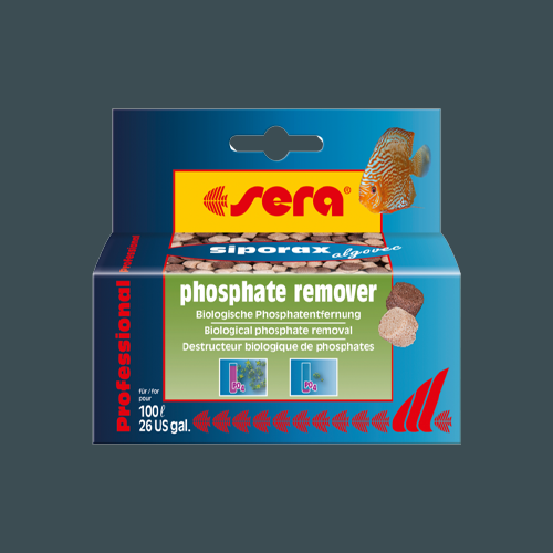 Prevent algae