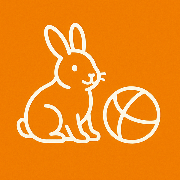 Rabbit Toys