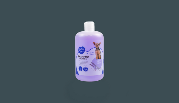 Shampoos & Conditioners