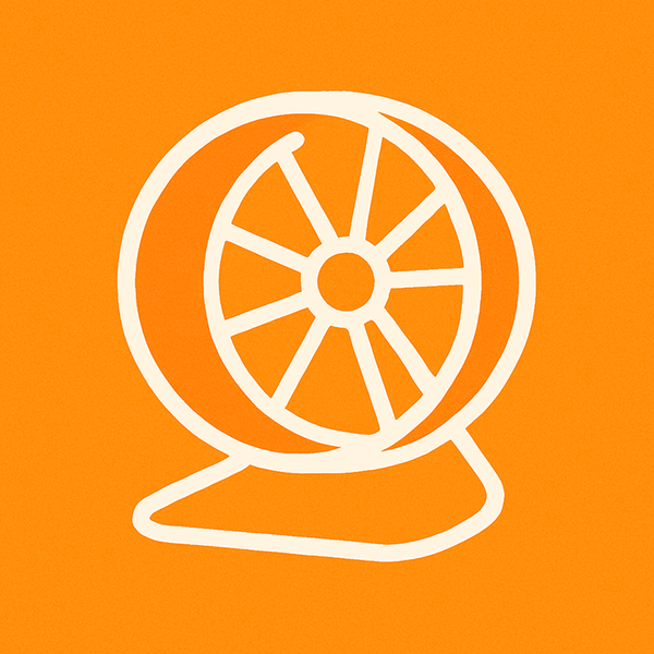 Wheel & Exercise Balls