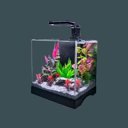 aquarium