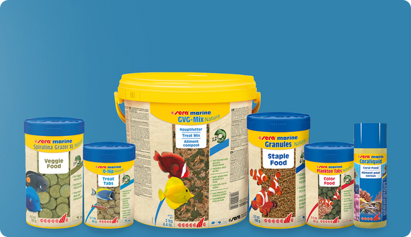 Feed marine fish