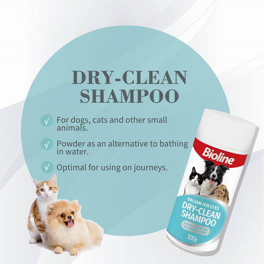Dry Shampoo