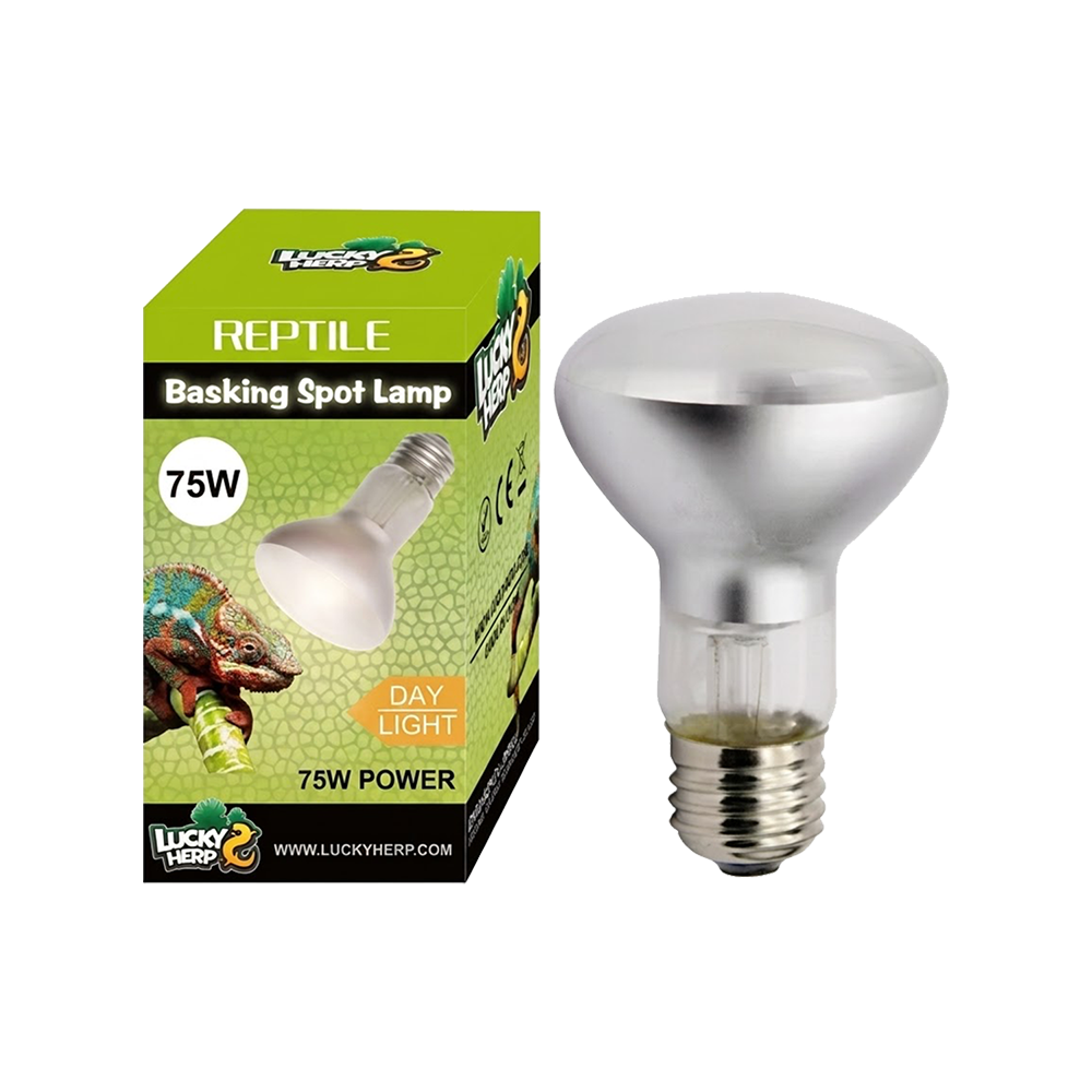 Basking lamp