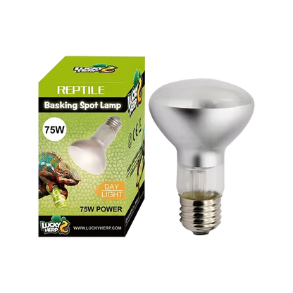Basking lamp