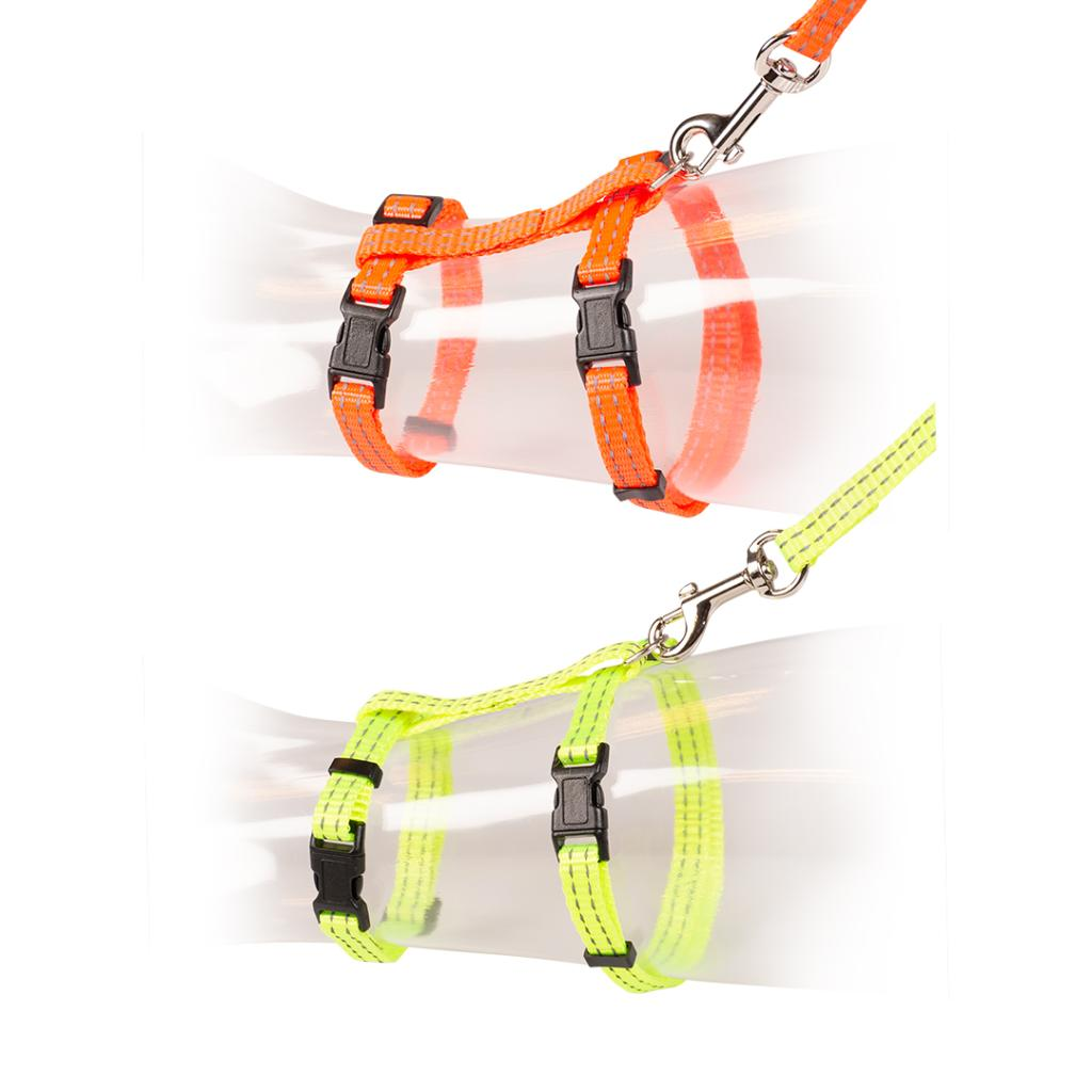 Big Cat Walking Set Reflective Uni
