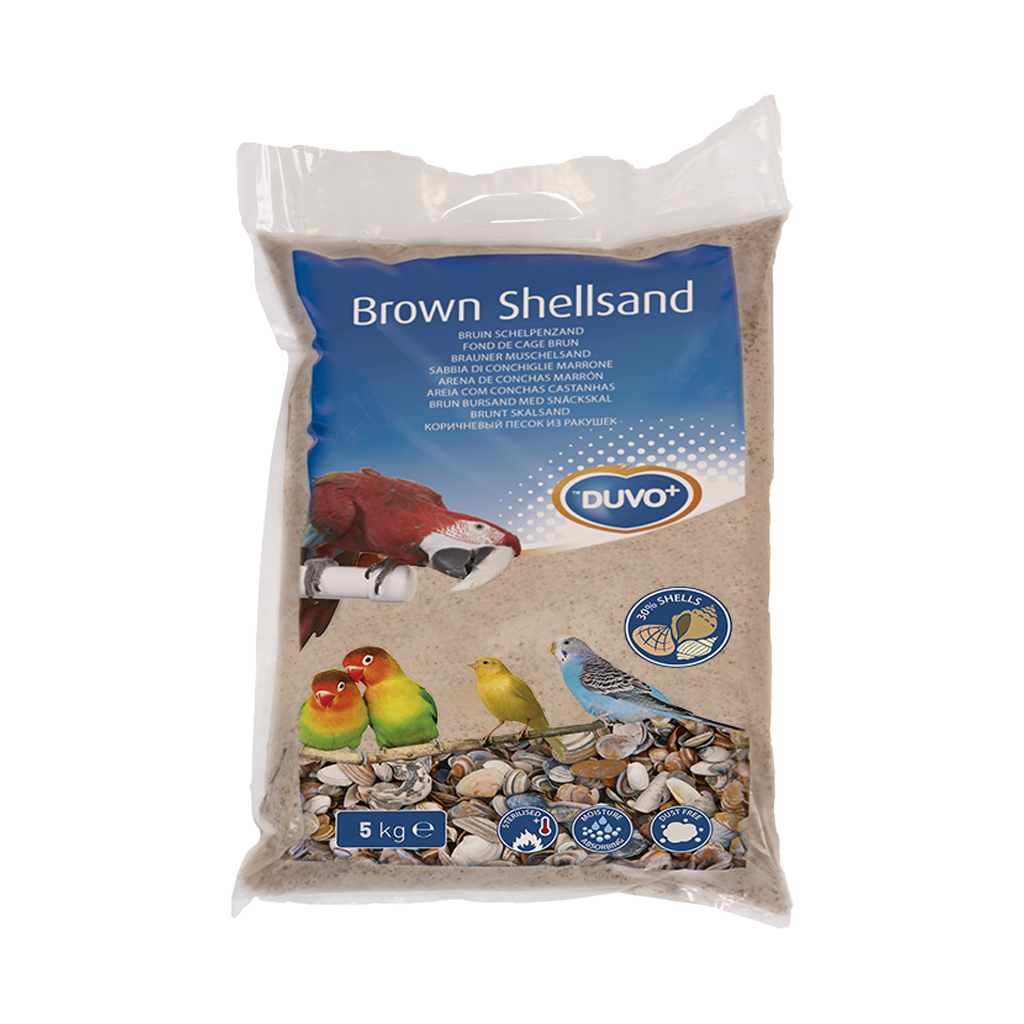 Brown Shellsand