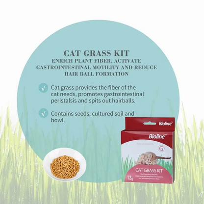 CAT GRASS KIT