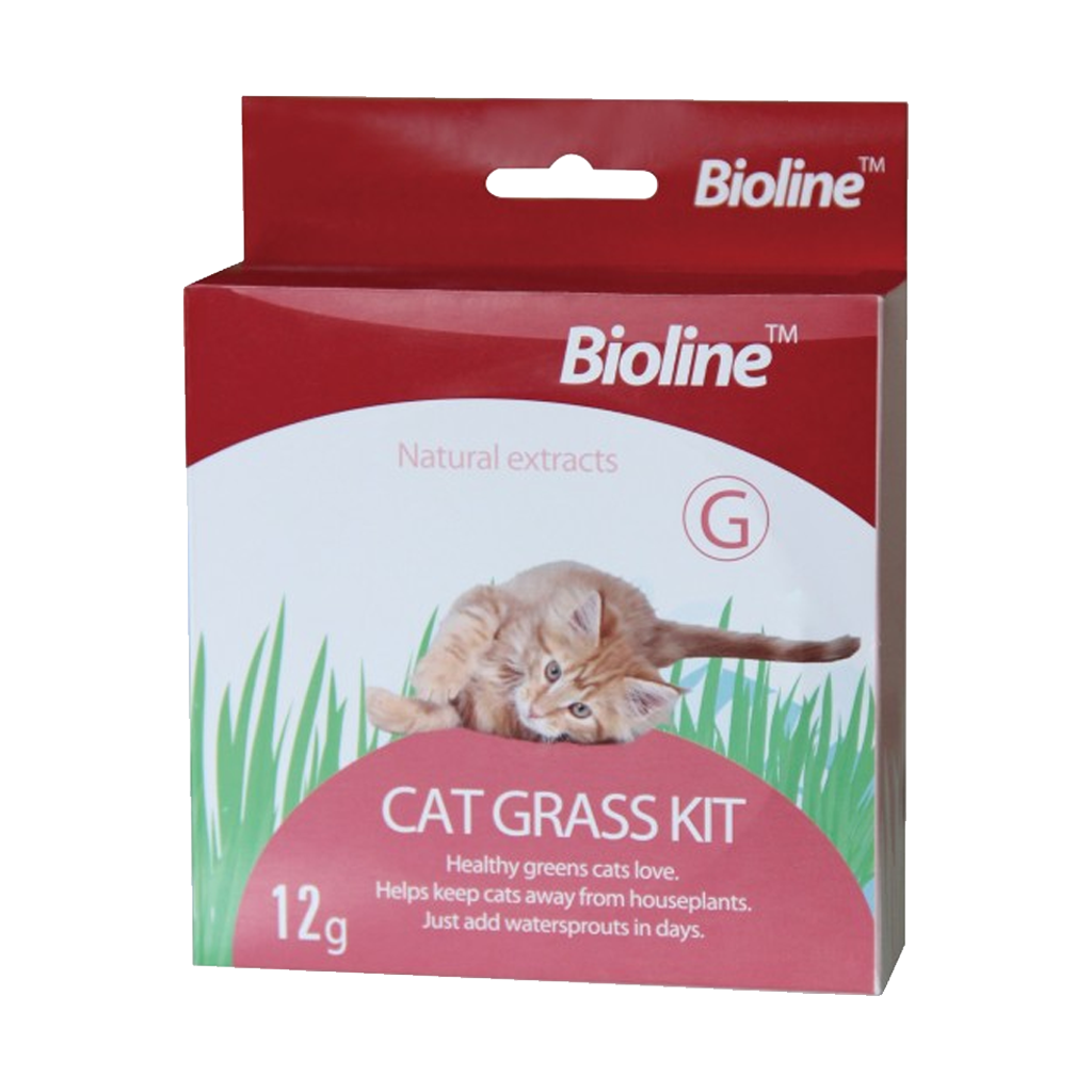 CAT GRASS KIT