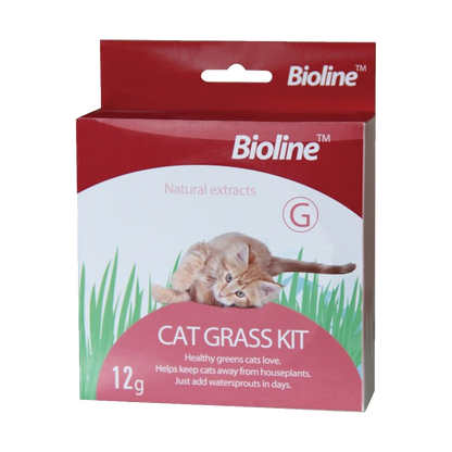 CAT GRASS KIT