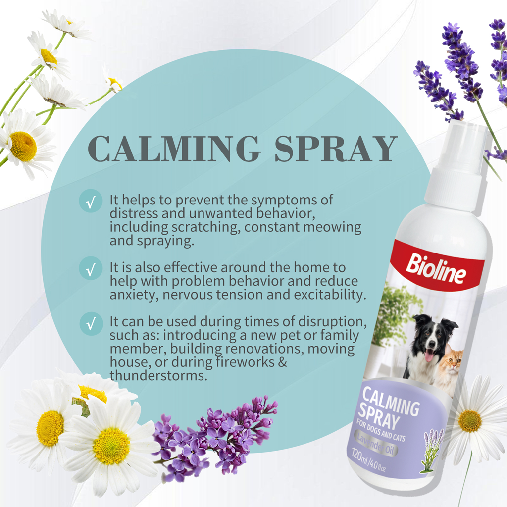 Calming Spray