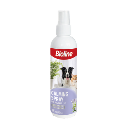 Calming Spray