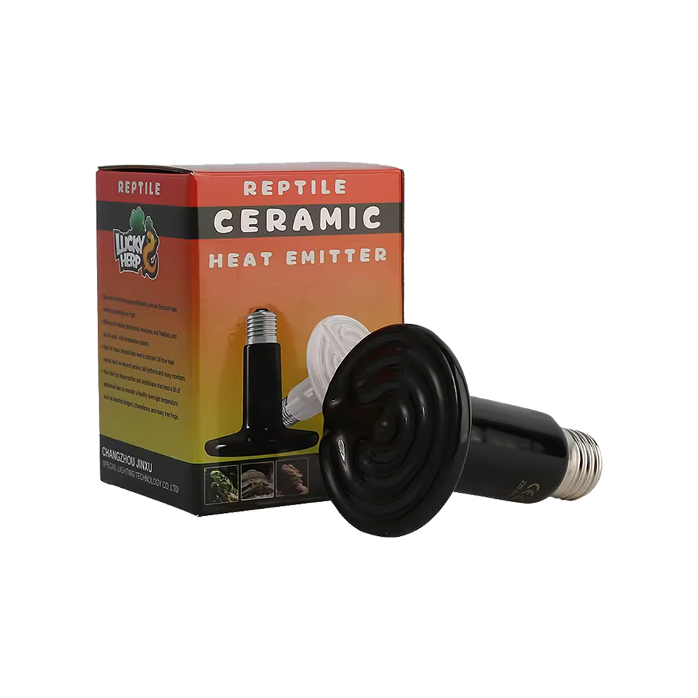Ceramic lamp