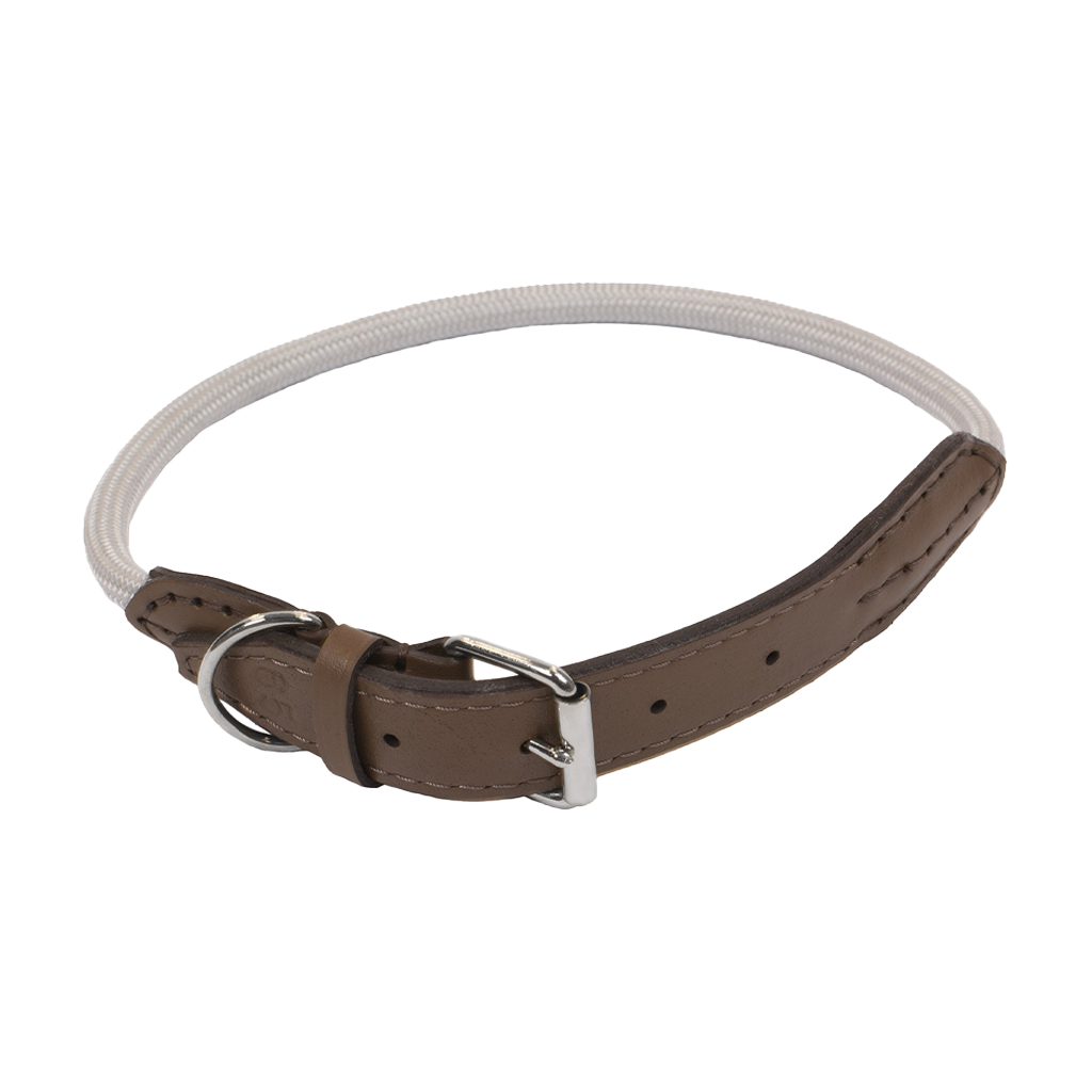Collar Forest