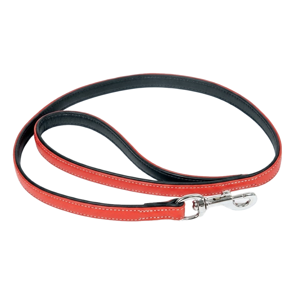 Comfy Leather Leash