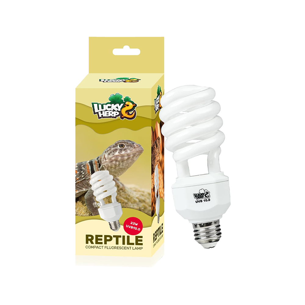 Compact UV lamp