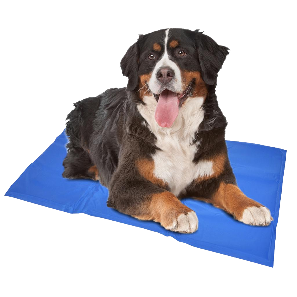 Cooling mat