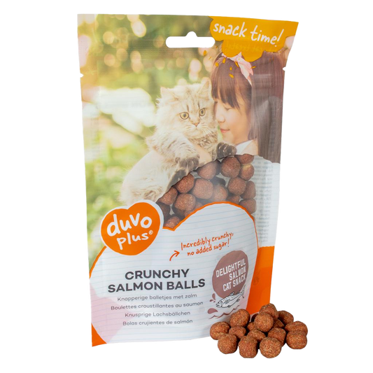 Crunchy salmon balls