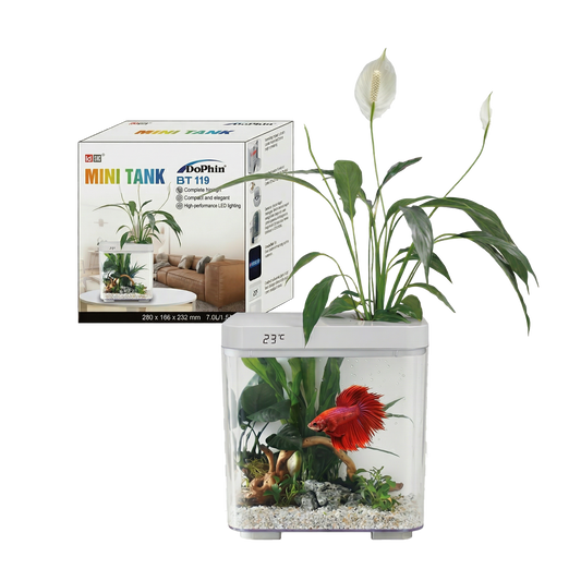 Dophi Betta Tank BT119