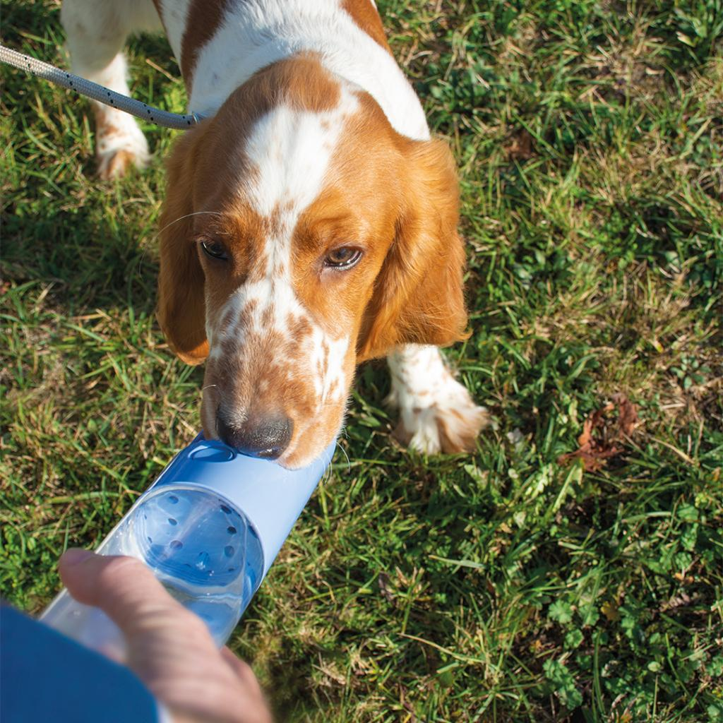 Drinking bottle