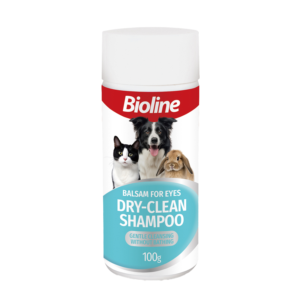 Dry Shampoo