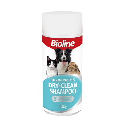 Dry Shampoo