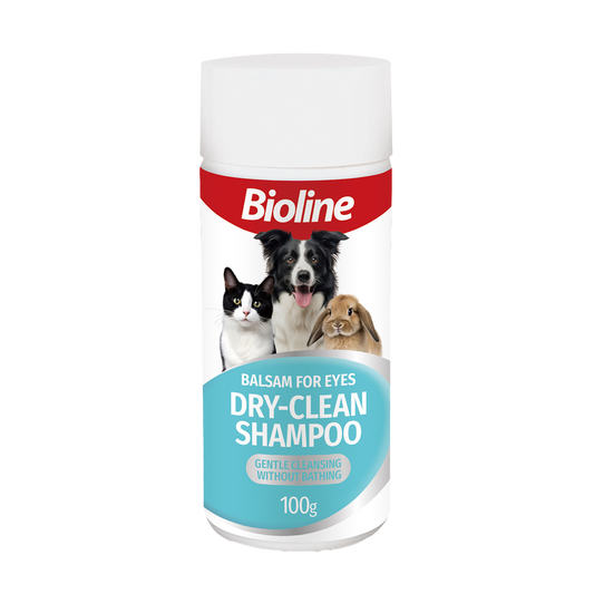 Dry Shampoo