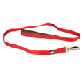 EXPLOR North leash nylon