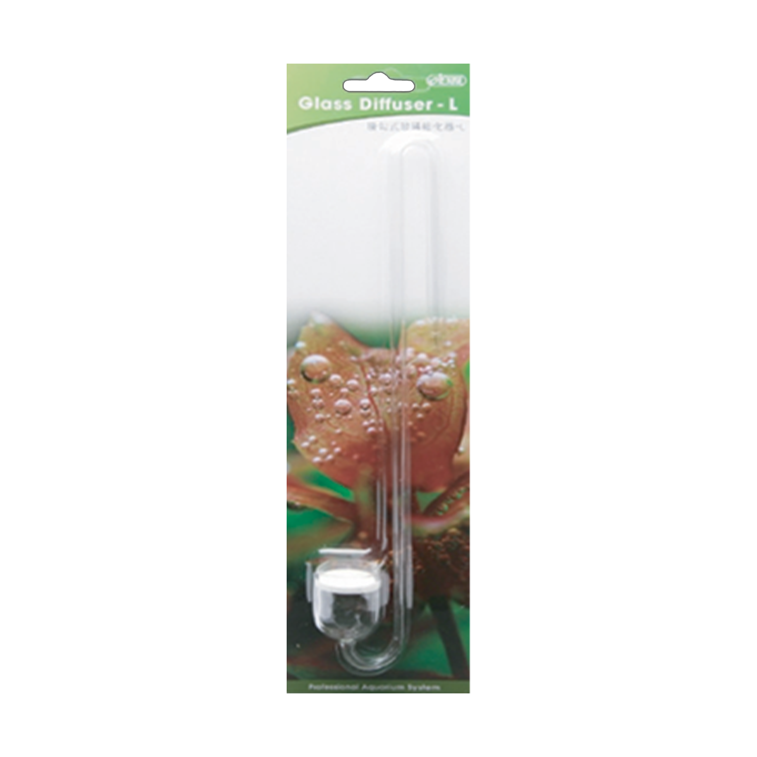 Glass Diffuser