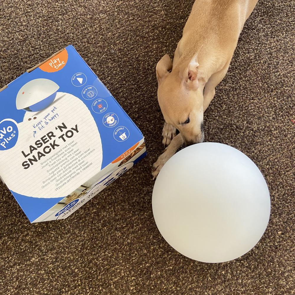 Laser 'n’ Snack Toy