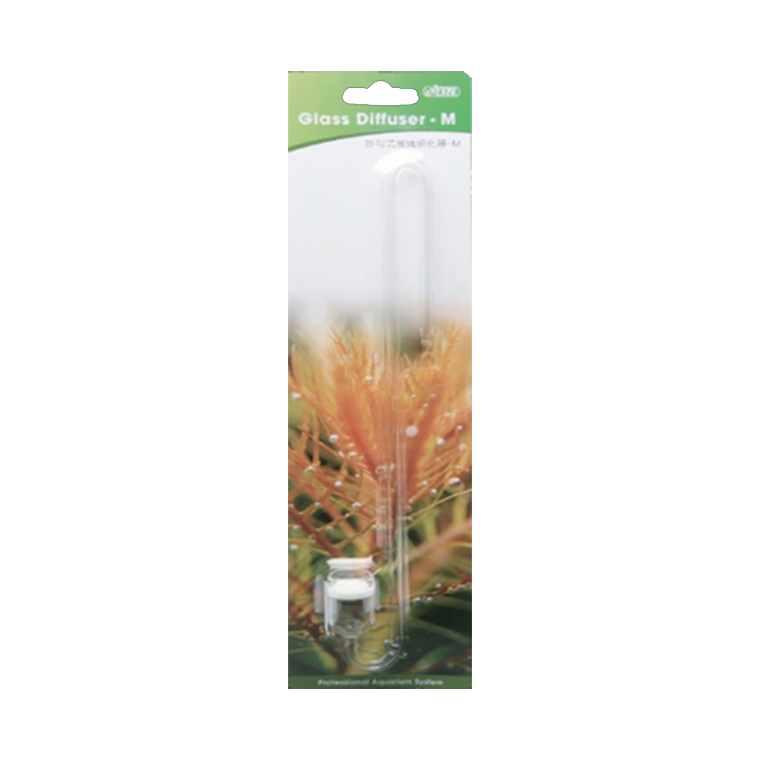 Glass Diffuser