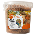 Meal worms