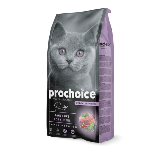 Pro38 Lamb & Rice Recipe | Kitten