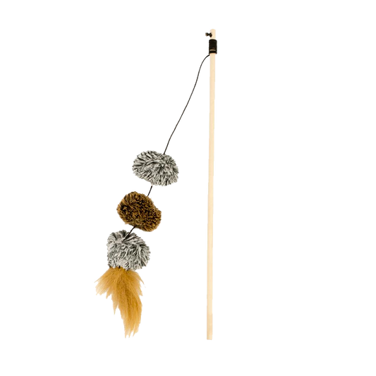 Playing Rod Pompom