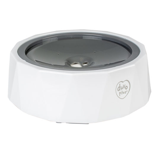 Splash-proof drinking bowl poly White/grey