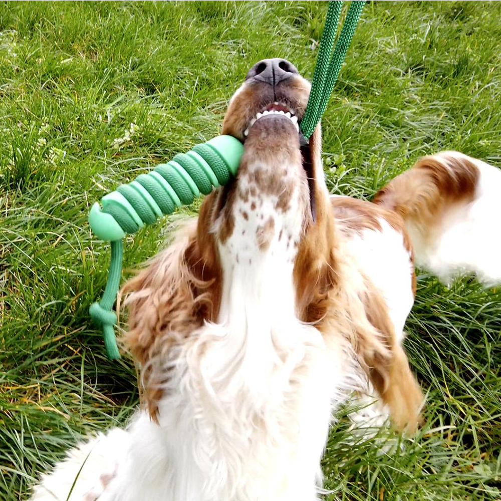 Swing `n chew stick